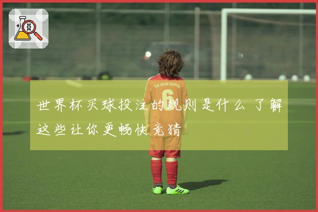 世界杯买球投注的规则是什么 了解这些让你更畅快竞猜