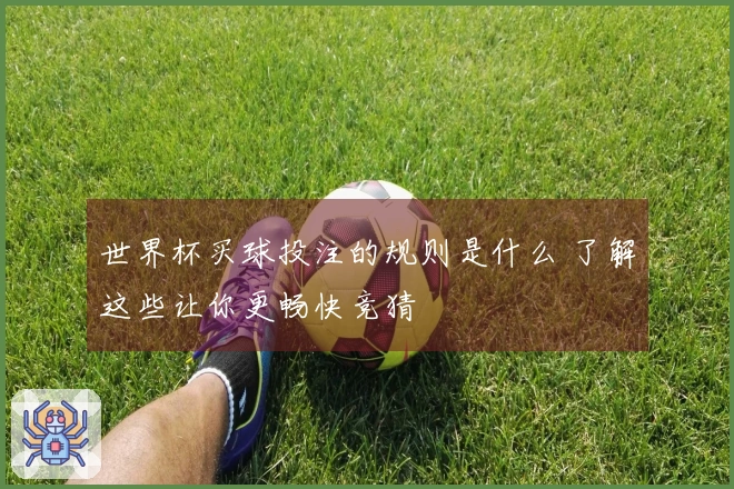 世界杯买球投注的规则是什么 了解这些让你更畅快竞猜