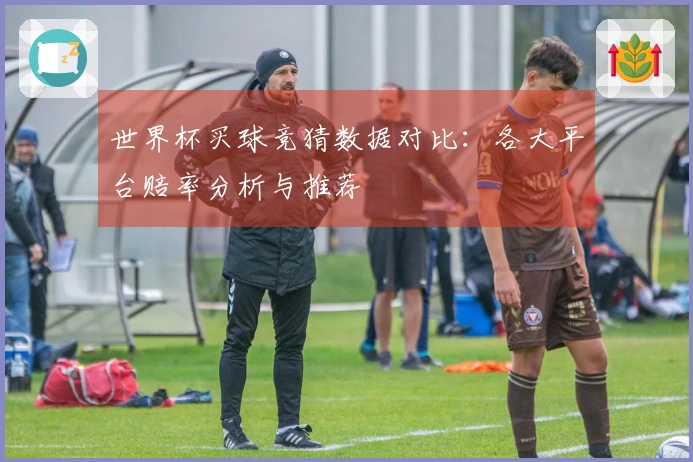 世界杯买球竞猜数据对比：各大平台赔率分析与推荐