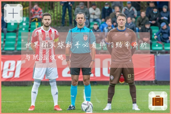 世界杯买球新手必看热门赔率分析与玩法攻略