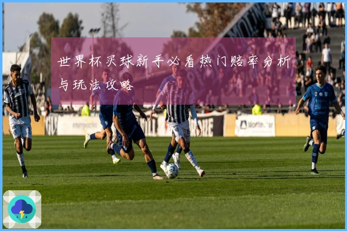 世界杯买球新手必看热门赔率分析与玩法攻略