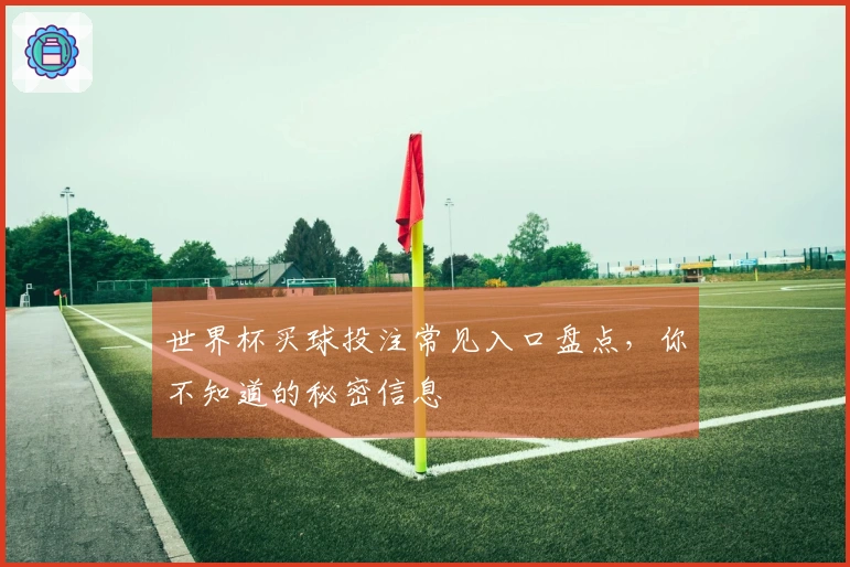 世界杯买球投注常见入口盘点，你不知道的秘密信息