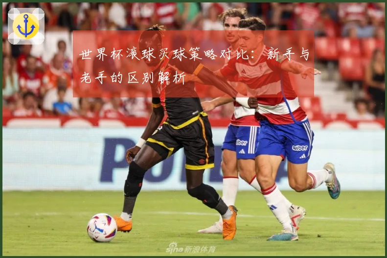 世界杯滚球买球策略对比：新手与老手的区别解析