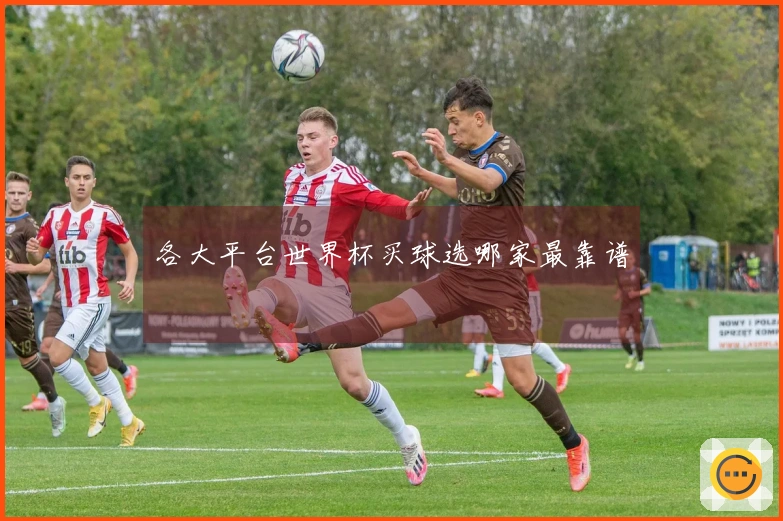 各大平台世界杯买球选哪家最靠谱