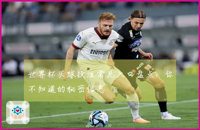 世界杯买球投注常见入口盘点，你不知道的秘密信息