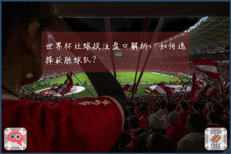 世界杯让球投注盘口解析，如何选择获胜球队？